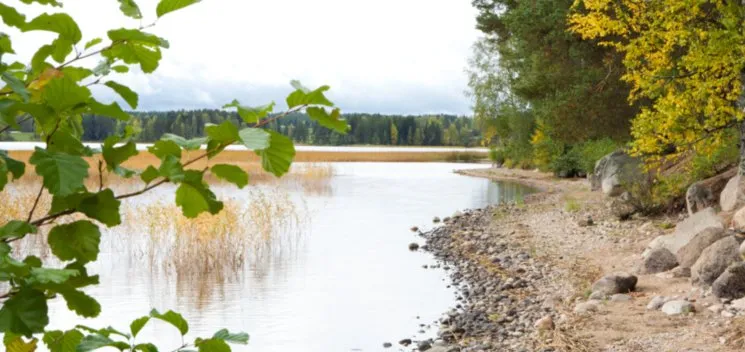 Tietosuoja